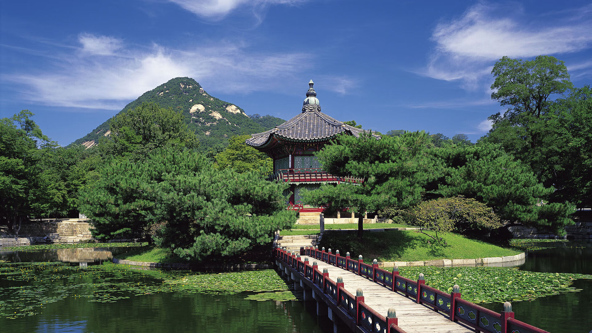 世界举重锦标赛优秀志愿者表彰大会举行,2021世界举重